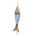 Floristik24 Cintre décoratif maritime poisson en bois à suspendre bleu clair L123cm
