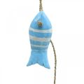 Floristik24 Cintre déco maritime poisson en bois à suspendre petit bleu clair L31cm