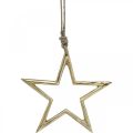 Floristik24 Décoration de Noël étoile, décoration de l&#39;avent, pendentif étoile Doré B15.5cm