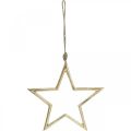 Floristik24 Décoration de Noël étoile, décoration de l&#39;Avent, pendentif étoile Doré B24.5cm