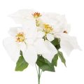 Floristik24 Poinsettia artificiel blanc à grande fleur, plante décorative, 40 cm