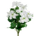 Bouquet de poinsettia blanc L45cm