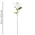 Poinsettia blanc artificiel, grande branche fleurie décorative, 65 cm, 2 pièces | Floristik24.be
