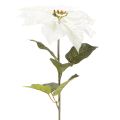 Poinsettia blanc artificiel, grande branche fleurie décorative, 65 cm, 2 pièces | Floristik24.be