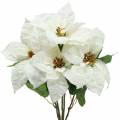 Floristik24 Poinsettia Bouquet Blanc 52cm
