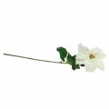 Poinsettia, fleur artificielle blanche 67cm | Floristik24.be