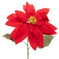 Floristik24 Poinsettia artificiel rouge à tige unique, décoration 82 cm