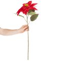 Poinsettia artificiel rouge à tige unique, décoration 82 cm | Floristik24.be