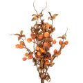 Branche d'aubépine artificielle, décoration d'automne, 75 cm | Floristik24.be