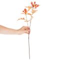 Branche d'aubépine artificielle avec feuilles et baies, 62 cm | Floristik24.be