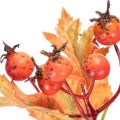 Branche d'aubépine artificielle avec feuilles et baies, 62 cm | Floristik24.be