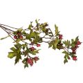 Branche d'aubépine artificielle avec baies rouges, décoration, 110 cm | Floristik24.be
