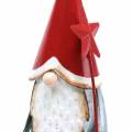 Floristik24 Lutin de Noël avec étoile 18cm rouge, métal gris 2pcs