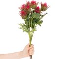 Branche de chardon rouge artificielle pour décoration, 67 cm, 3 pièces | Floristik24.be