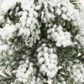 Décoration d'hiver Sapin de Noël en vert blanc Ø7cm H14cm 4pcs | Floristik24.be