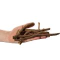 Branches et rhizomes décoratifs en bois, séchés naturellement, 18 cm, 500 g | Floristik24.be