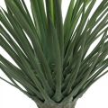 Floristik24 Palmier yucca artificiel en pot Palmier artificiel en pot H52cm