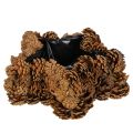 Floristik24 Pot de fleurs en forme de pomme de pin, étoile, 30 cm