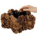 Pot de fleurs en forme de pomme de pin, étoile, 30 cm | Floristik24.be