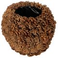 Floristik24 Jardinière décorative avec pommes de pin, aspect naturel, 27 cm. Pot rond en pommes de pin, brun naturel, fabriqué à partir de pommes de pin, 27 cm x 22 cm.