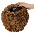 Jardinière décorative avec pommes de pin, aspect naturel, 27 cm. Pot rond en pommes de pin, brun naturel, fabriqué à partir de pommes de pin, 27 cm x 22 cm. | Floristik24.be