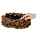 Pot de fleurs ovale en forme de pomme de pin, 30 cm | Floristik24.be