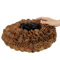 Pot rond en pomme de pin, 38 cm ; pot rond en pomme de pin, brun naturel, fabriqué à partir de pommes de pin, 38 cm x 14 cm | Floristik24.be