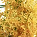 Floristik24 Ail Ornemental Allium Sauvage Artificiel Jaune 70cm 3pcs