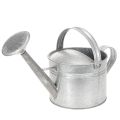 Floristik24 Arrosoir vintage en zinc, 27 cm - jardinière pour jardin et terrasse, pot de fleurs en métal