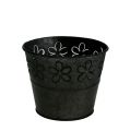 Floristik24 Pot en zinc noir avec fleurs Ø 10 cm H. 8 cm
