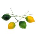 Floristik24 Mix de citrons 2cm jaune et vert 24 pièce