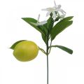 Floristik24 Branche déco citron et fleurs branche artificielle décoration d&#39;été 26cm 4pcs