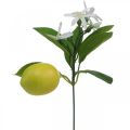 Floristik24 Branche déco citron et fleurs branche artificielle décoration d'été 26cm 4pcs