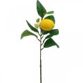 Floristik24 Branche déco citron branche de citron artificielle 42cm 3pcs