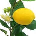 Floristik24 Branche déco citron branche de citron artificielle 42cm 3pcs