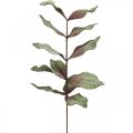 Floristik24 Plante artificielle déco branche vert rouge marron mousse H68cm