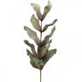 Floristik24 Plante artificielle déco branche vert rouge marron mousse H68cm