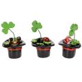 Trèfle et scarabée porte-bonheur en haut-de-forme, 7 cm, lot de 3 | Floristik24.be