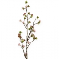 Floristik24 Branche de fleurs de cerisier rose 95cm