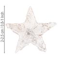 Mini étoiles de bouleau 2 cm - 2,5 cm blanchies à la chaux, 150 pièces | Floristik24.be