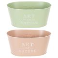 Coupe à fleurs ovale en zinc, 27 x 18 cm, H 12,5 cm, couleurs variées | Floristik24.be