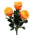 Floristik24 Rose décorative orange Ø 8 cm L68 cm 3 ex.