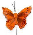 Floristik24 Papillons déco sur fil orange 8cm 12P