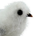 Floristik24 Oiseau des neiges 14cm avec clip