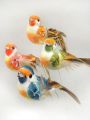 Floristik24 Oiseaux sur fil coloré 8cm 12pcs