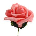 Floristik24 Rose mousse Ø4.5cm rose 36p