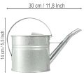 Arrosoir décoratif vintage, métal argenté, pot de fleurs de 1,25 l | Floristik24.be