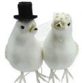 Floristik24 Couple de colombes avec chapeau et voile 13 cm 4 p.
