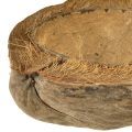 Pot de fleurs en noix de coco, naturel, 20 cm, lot de 5 | Floristik24.be