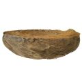 Pot de fleurs en noix de coco, naturel, 20 cm, lot de 5 | Floristik24.be